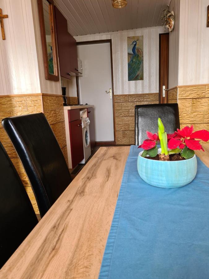 Alexandra Appartement Gersdorf 外观 照片